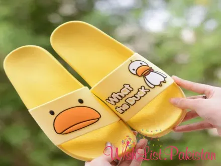 What The Duck Slides